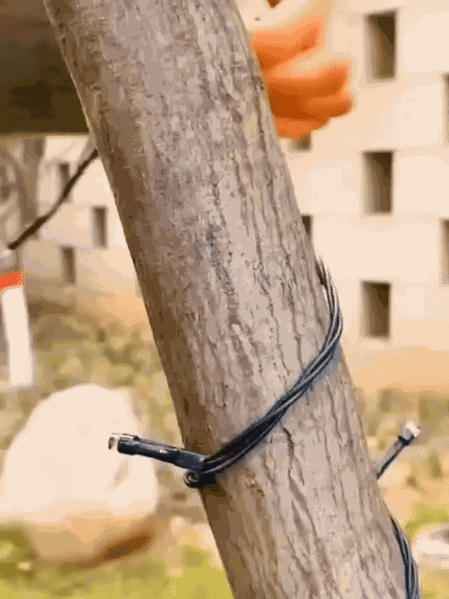 Luces solares decoración navideña - Imagen 4